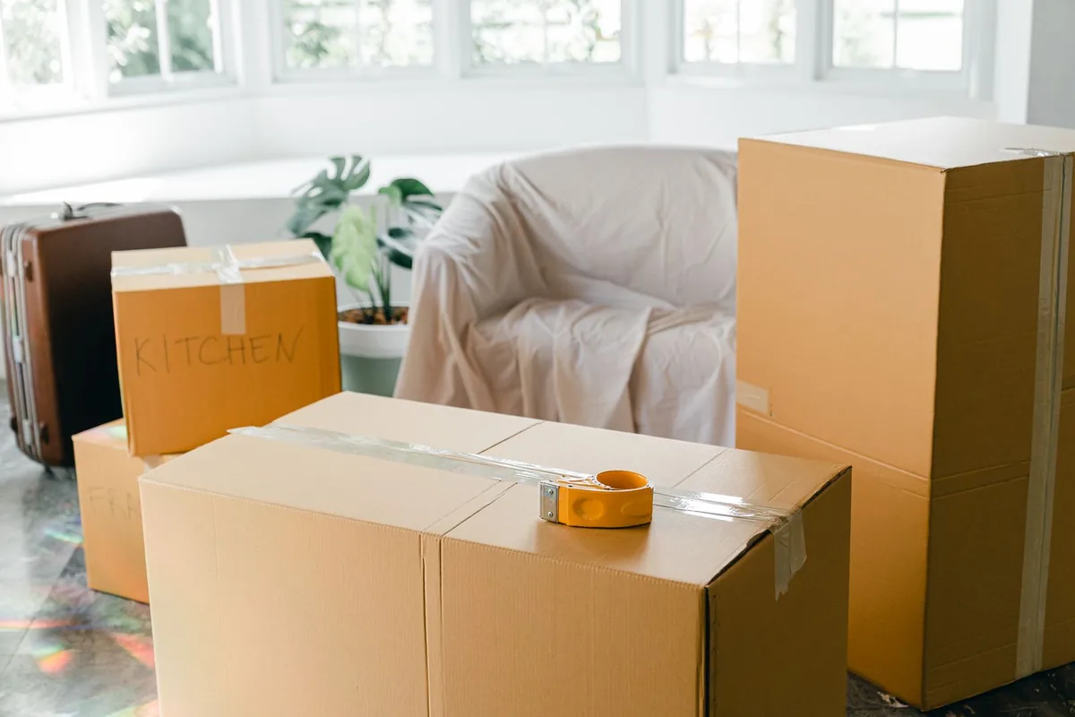 Animal Hoarding Cleanup in Monticello, GA